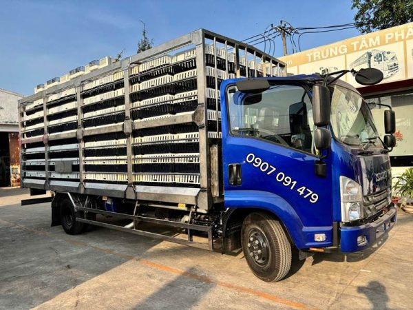 Isuzu FRR650 Chở gia cầm