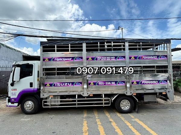 Isuzu FRR650 chở gia súc