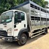 Isuzu FRR90QE5 chở gia súc