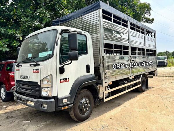 Isuzu FRR90QE5 chở gia súc
